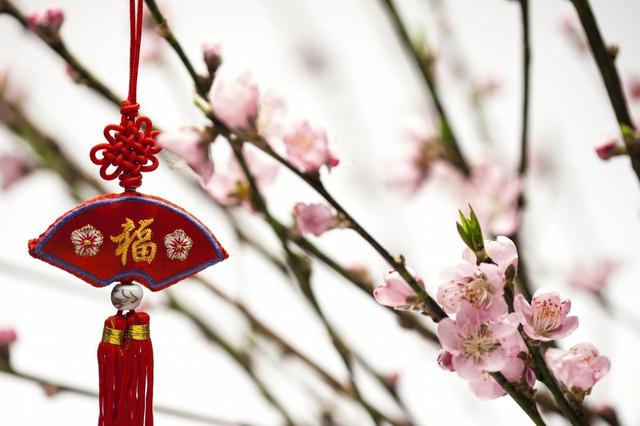 八字命理学为你解读什么是桃花运