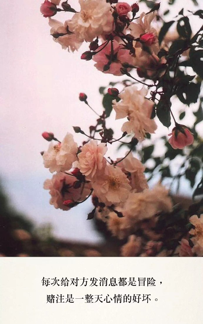 梦到走桃花运运势如何