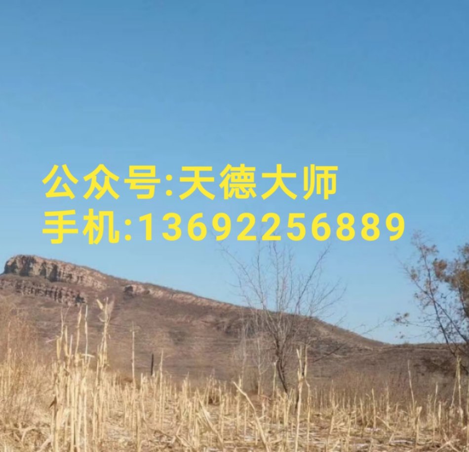 大富贵八字精论