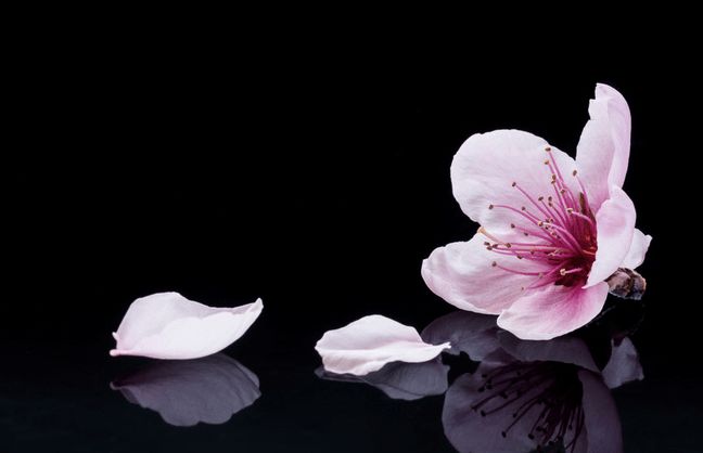 八字缺火的桃花运