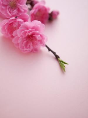 原来这些风水会影响你的桃花运势