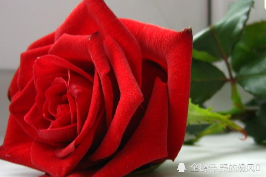 春节过后桃花运势逆袭