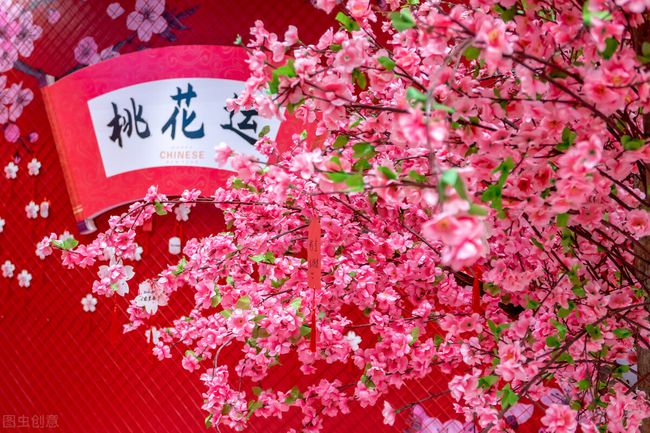 十二星座二月份桃花运势