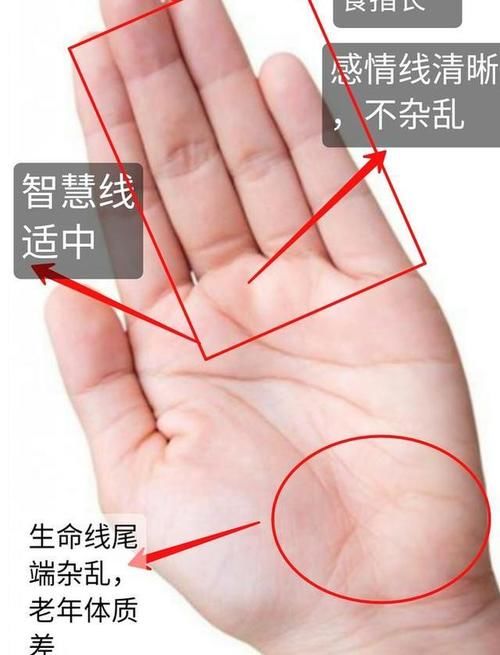 手相和八字都是富贵