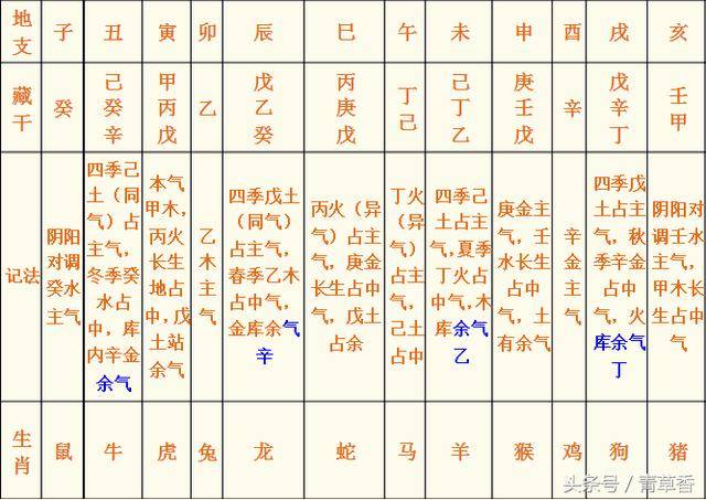 八字年支月支合外遇
