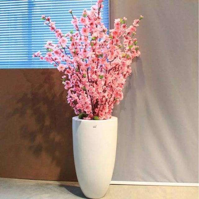 桃花运势是什么意思