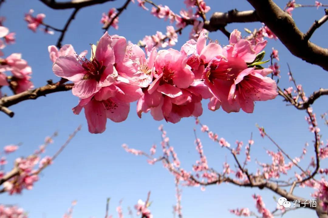 八字桃花运怎么增加