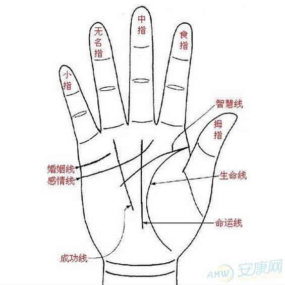 手相和八字都是富贵