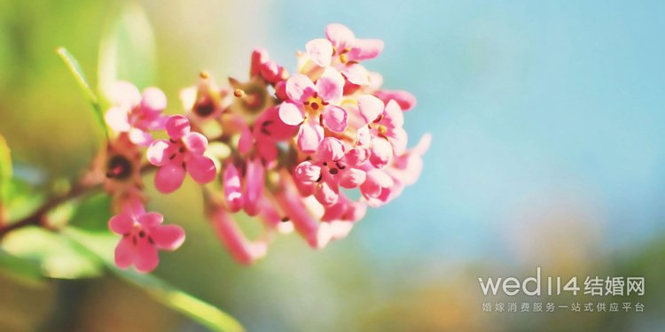 从八字来看一个人的桃花运