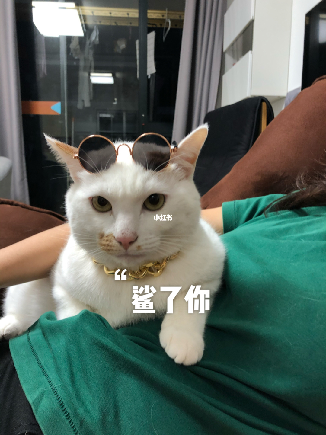 算命先生说我没有桃花运