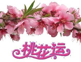 从八字来看一个人的桃花运