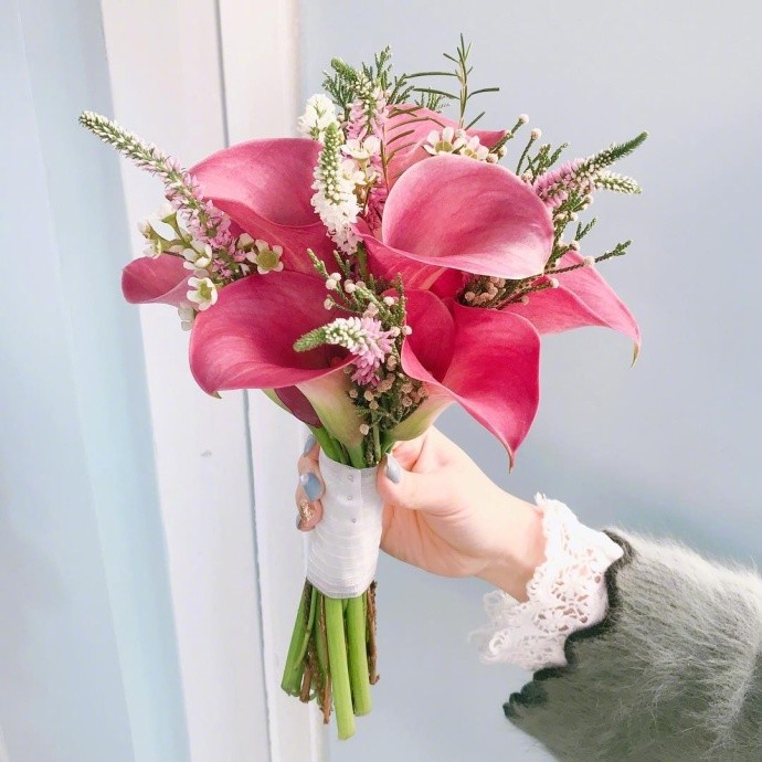 春节过后桃花运势逆袭