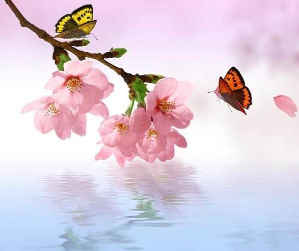 春日桃花运势