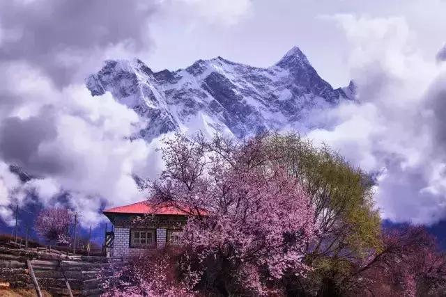 算命说我桃花运差