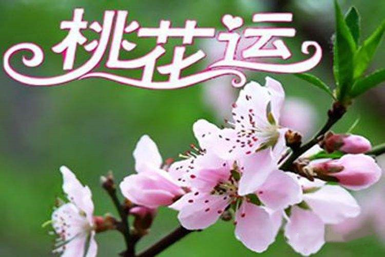 免费测八字桃花运