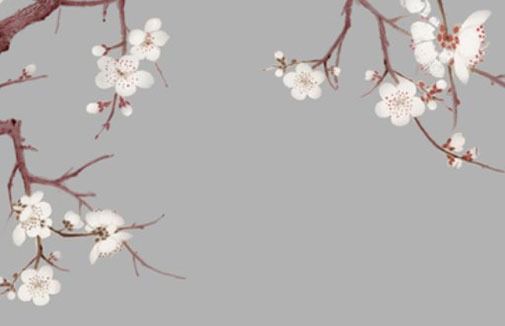 2021年桃花运势旺的生肖