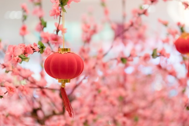 属蛇2021年桃花运势如何