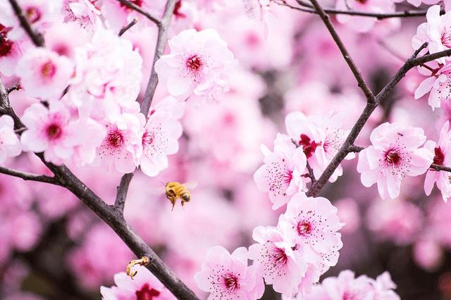 八字算每月桃花运