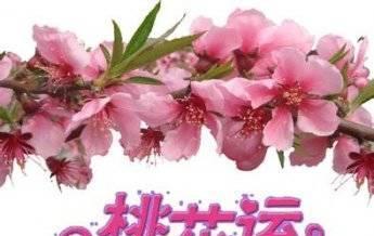 八字如何看流年桃花运