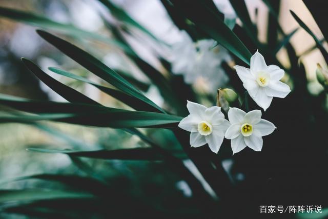 11月桃花运势大爆发