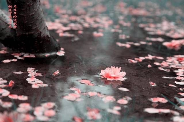 八字测流年桃花运