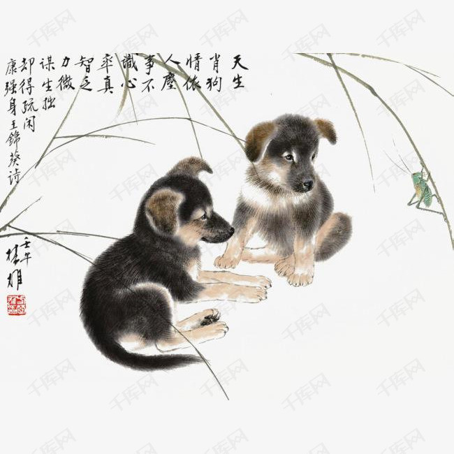 属狗今年的桃花运势