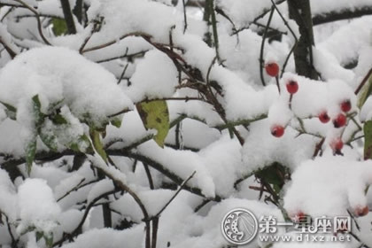 周公解梦梦到桃花运