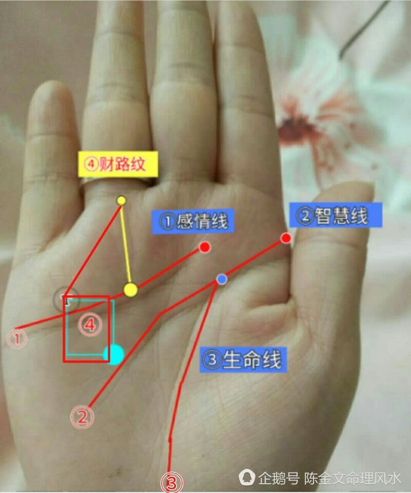 算命先生通过手相看出了我有外遇