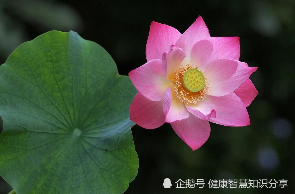 2022富贵运势来势汹汹