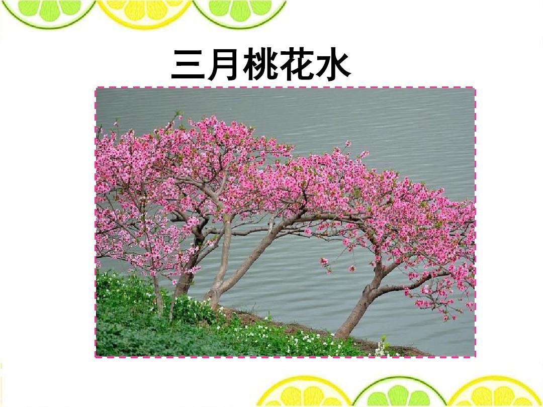 罗鸣老师三月桃花运势播报