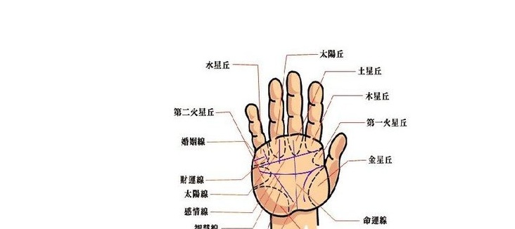 5个手指长短看命运图哪个富贵享福