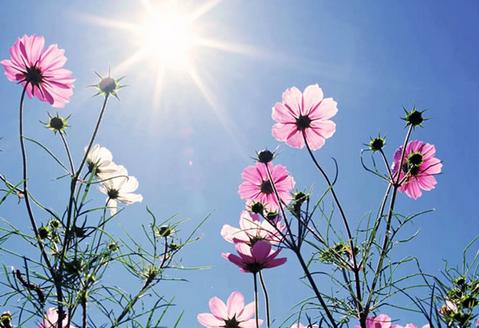 10月桃花运运势