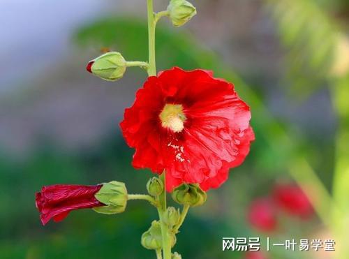 哪些八字天生富贵双全