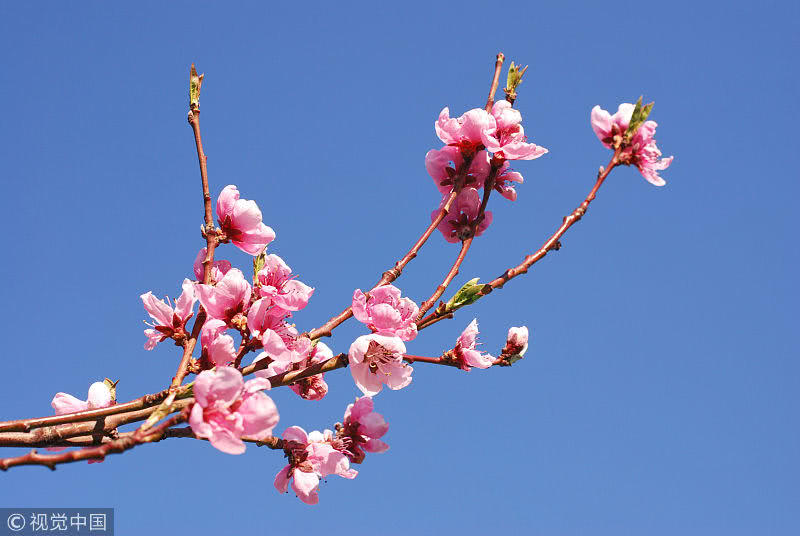 也就是烂桃花运势呢