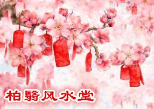 如何问算命的桃花运