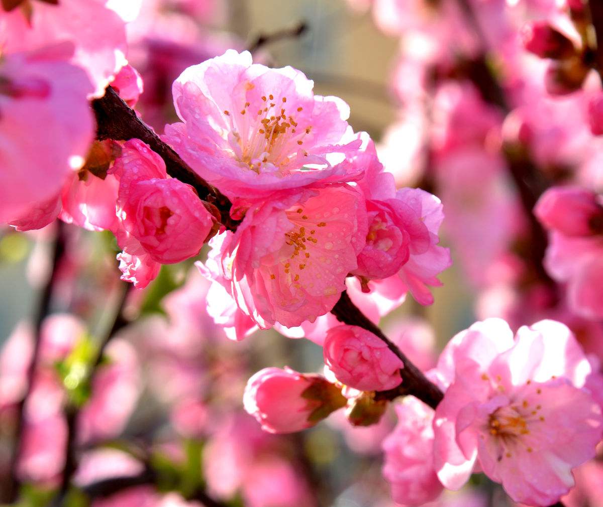 八字男人中年走桃花运