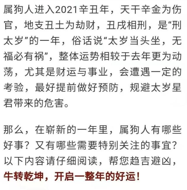 属狗2021下半年桃花运势女性什1970