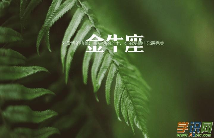 金牛座近几个星期的桃花运势