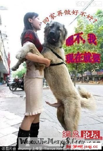 周公解梦梦见儿媳有外遇