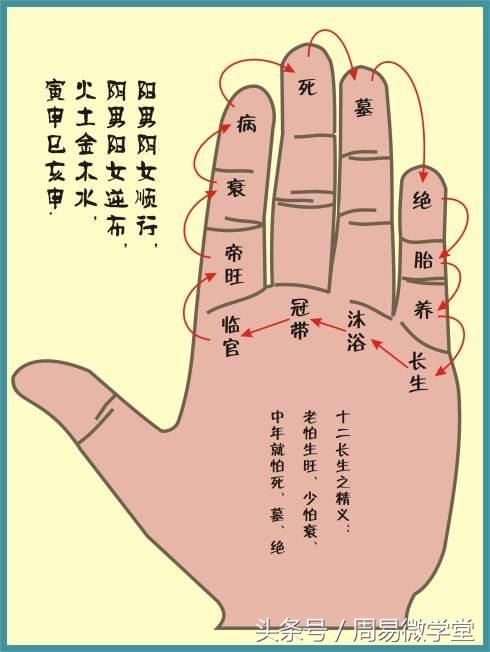 女命富贵八字案例分析