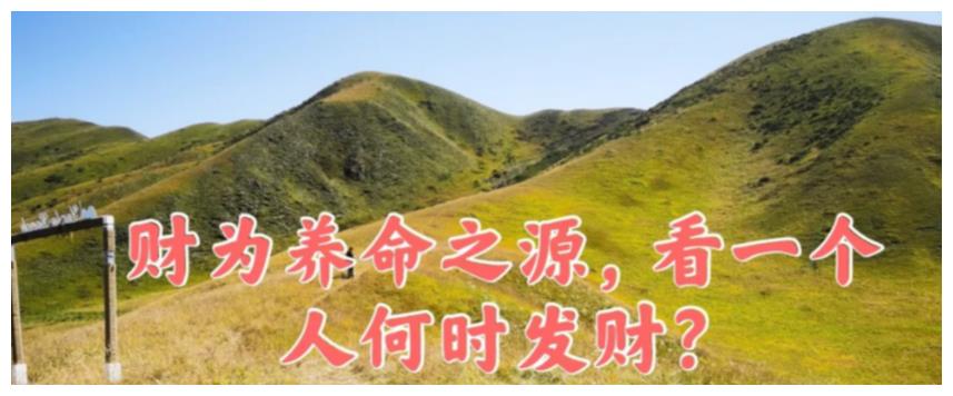免费算命富贵命和兰花命一样啊