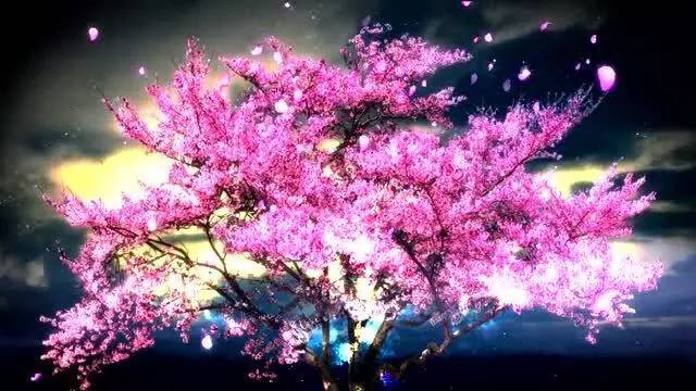 五月桃花运势极旺的星座有你吗