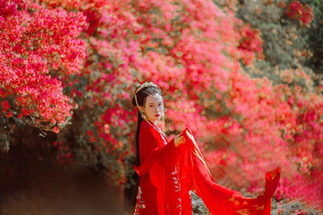 生肖兔11月桃花运势