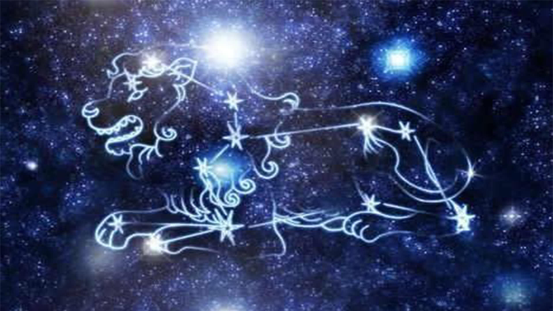 今年狮子座桃花运势