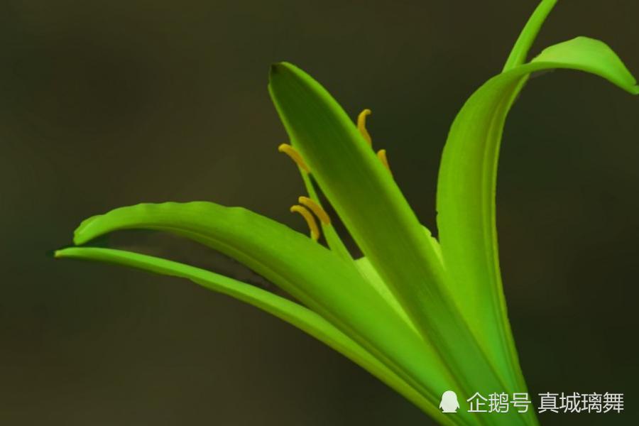 七月属相运势桃花运