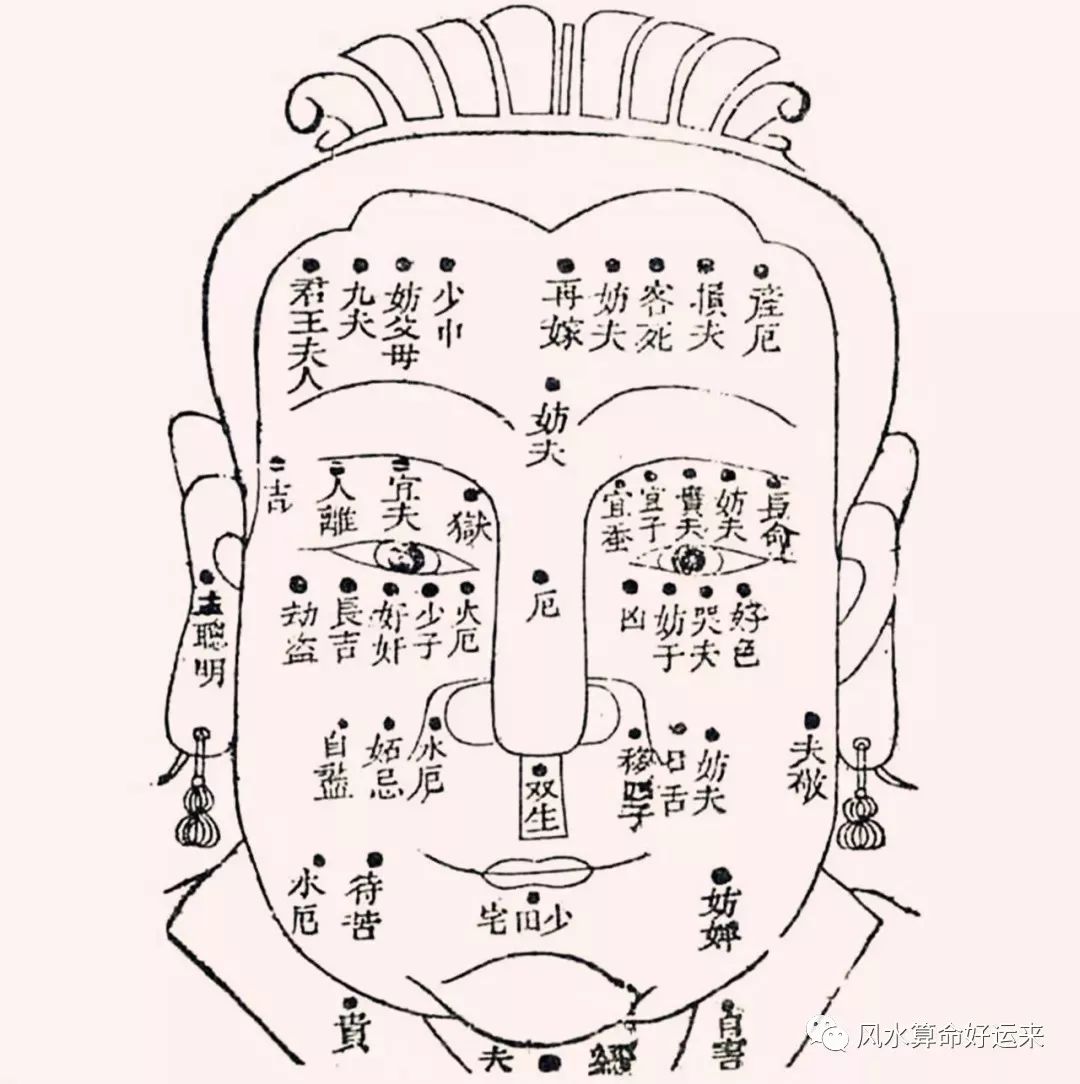 怎么看富贵面相算命图解