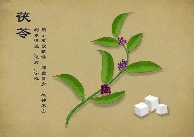 节制正位桃花运势