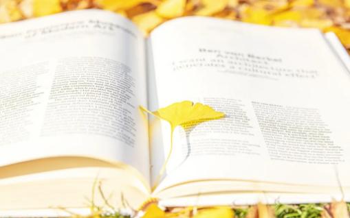 富贵八字大起大落