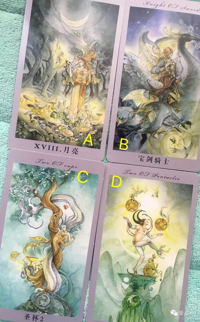 塔罗占卜自己为什么桃花运旺盛