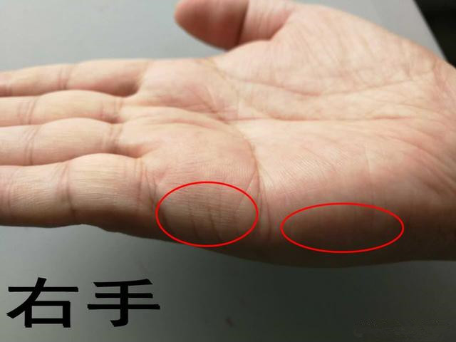 女人富贵手相算命图解
